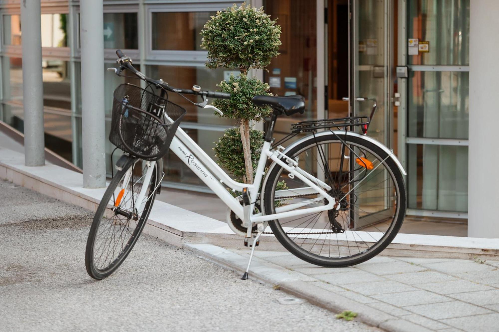 Rosanna 3 Stelle Superior Hotel