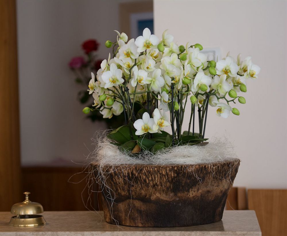 Hotel Rosanna 3 Stelle Superior