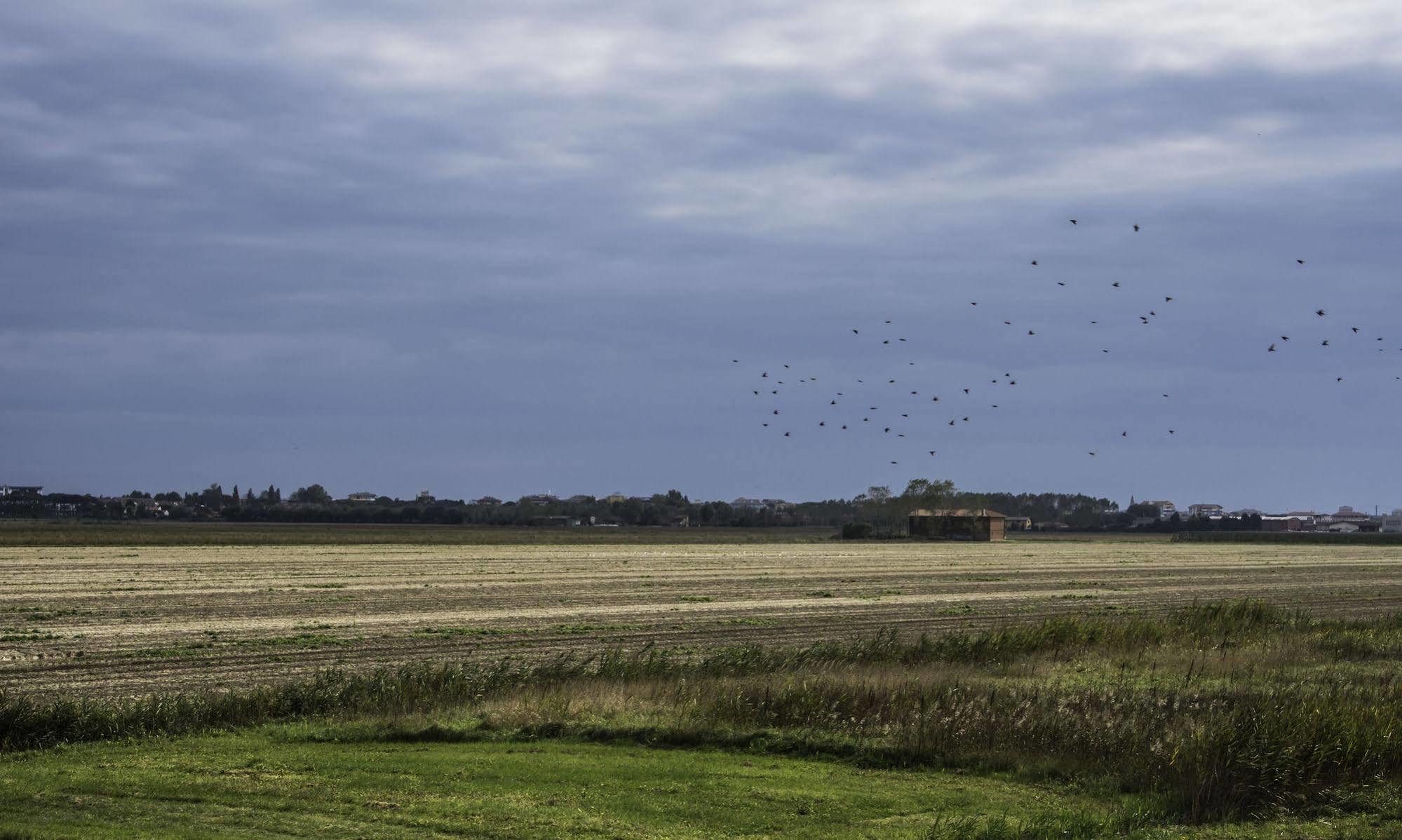 Hotel Rosanna 3 Stelle Superior 3*